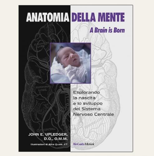 ANATOMIA DELLA MENTE - A Brain is Born